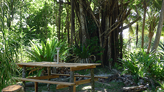 Picnic camper of vanilla plantation
